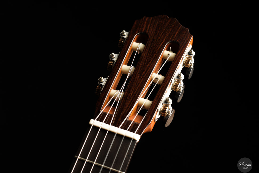 Daryl Perry - 2025 No. 264