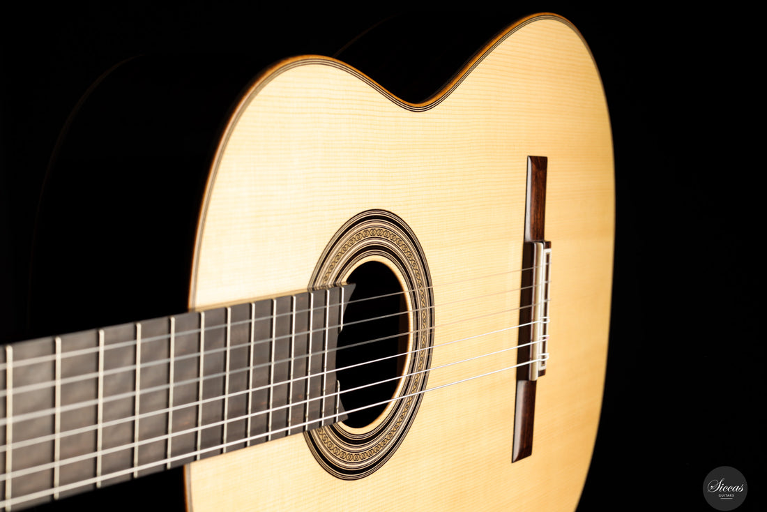 Daryl Perry - 2025 No. 264