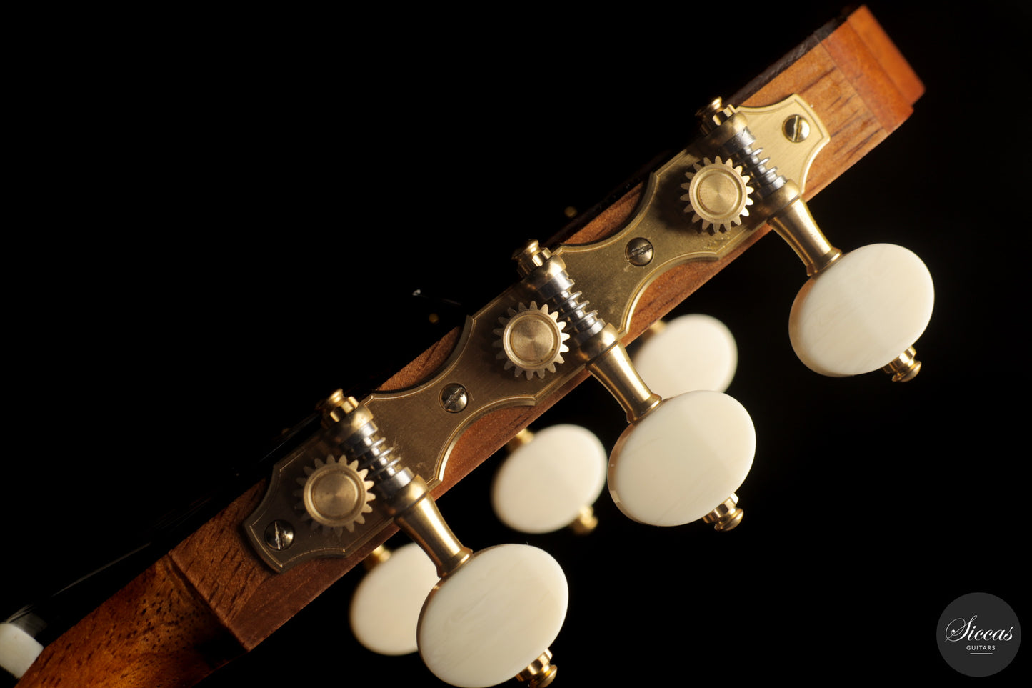 Davide Scacchi - 2026