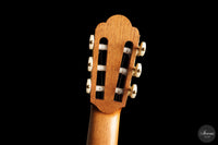 Davide Scacchi - 2026