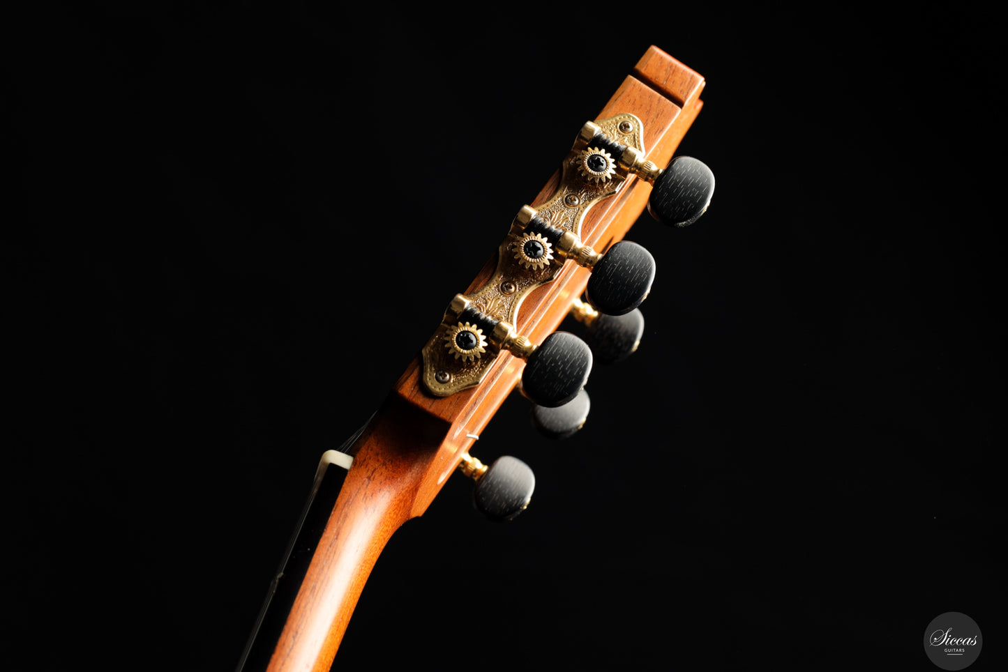 Diego Valencia - 2016 No.258 Lattice