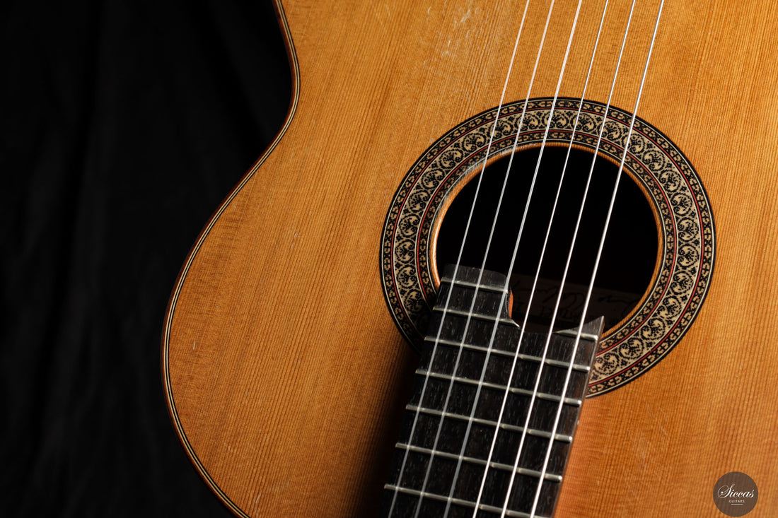 Diego Valencia - 2016 No.258 Lattice