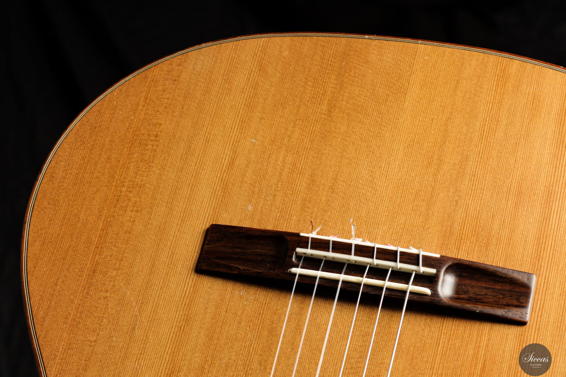 Diego Valencia - 2016 No.258 Lattice