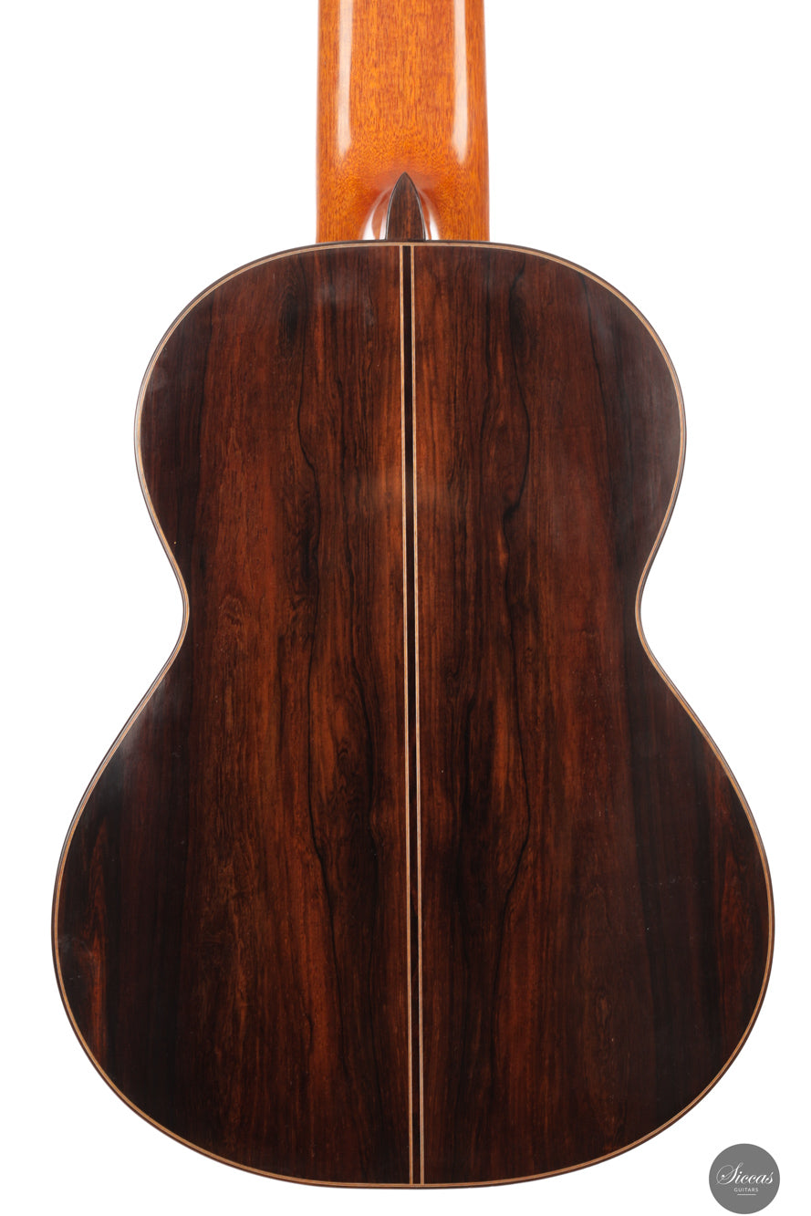 Dieter Müller - 2019 Doubletop 10 strings