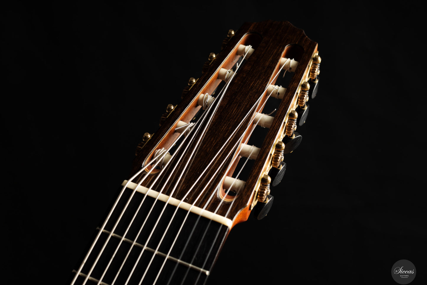 Dieter Müller - 2019 Doubletop 10 strings