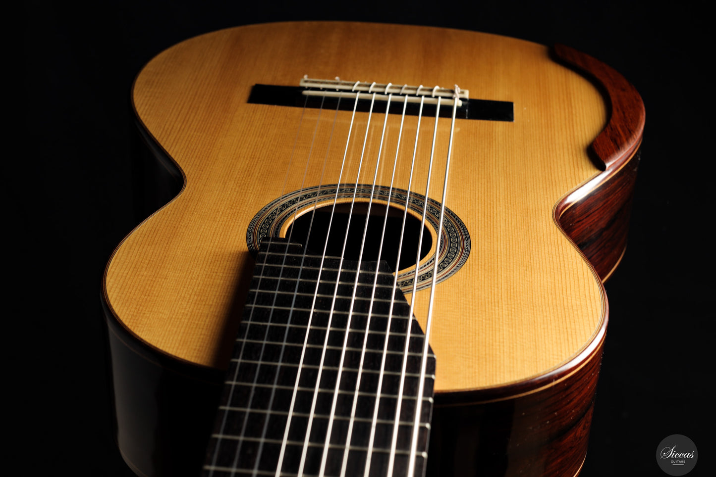 Dieter Müller - 2019 Doubletop 10 strings