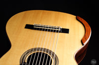 Dieter Müller - 2019 Doubletop 10 strings