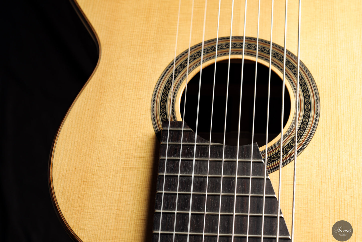 Dieter Müller - 2019 Doubletop 10 strings