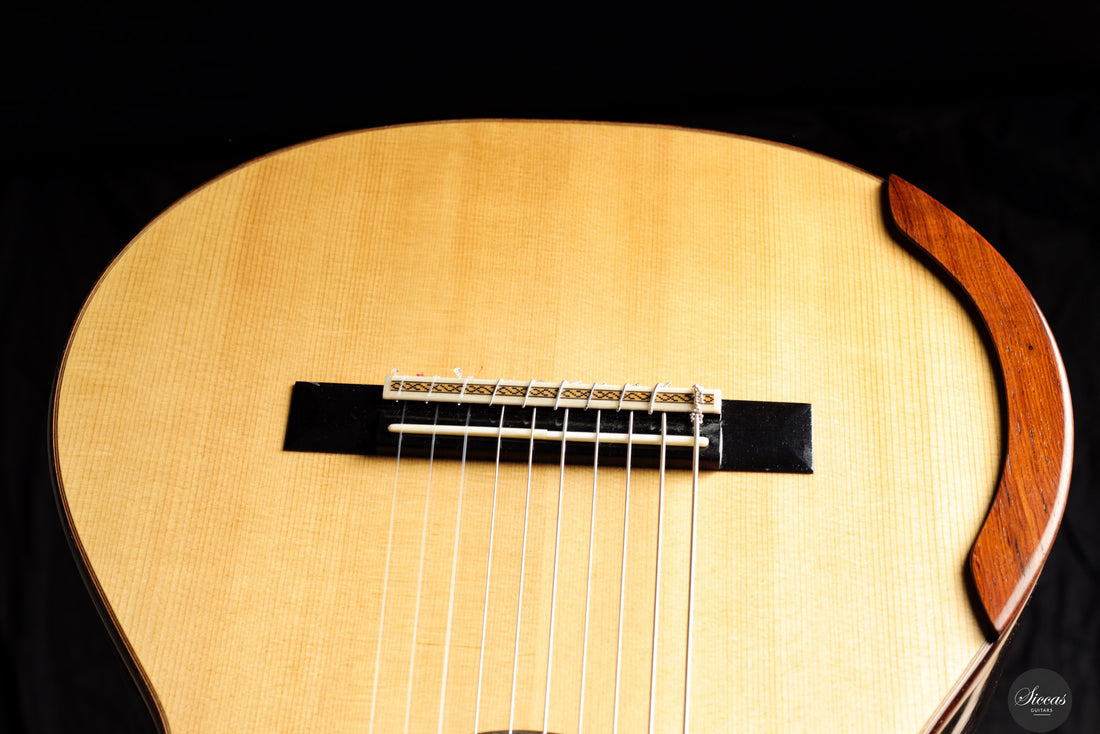 Dieter Müller - 2019 Doubletop 10 strings