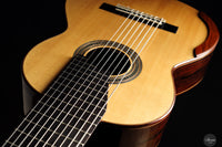 Dieter Müller - 2019 Doubletop 10 strings