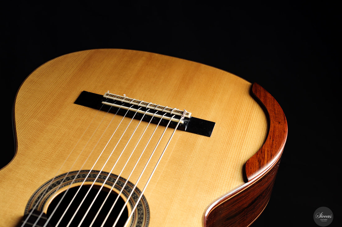 Dieter Müller - 2019 Doubletop 10 strings