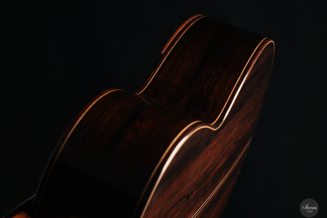 Dieter Müller - 2019 Doubletop 10 strings