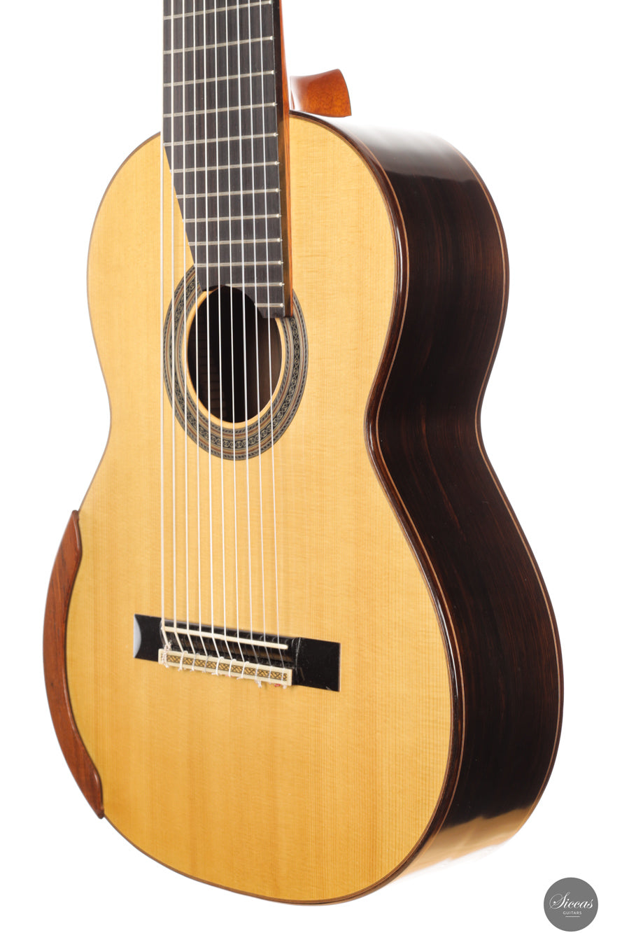 Dieter Müller - 2019 Doubletop 10 strings