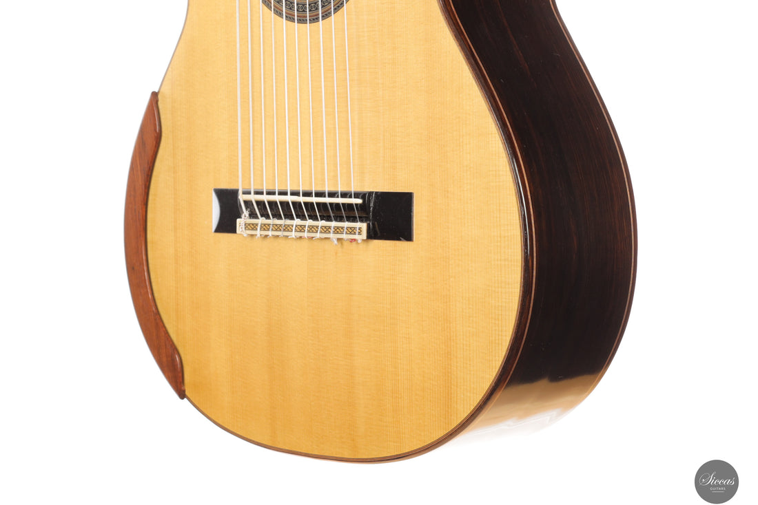 Dieter Müller - 2019 Doubletop 10 strings