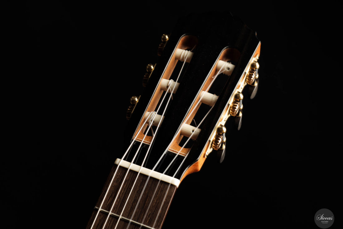 Dieter Müller - 2025 Doubletop Cedar/Wenge