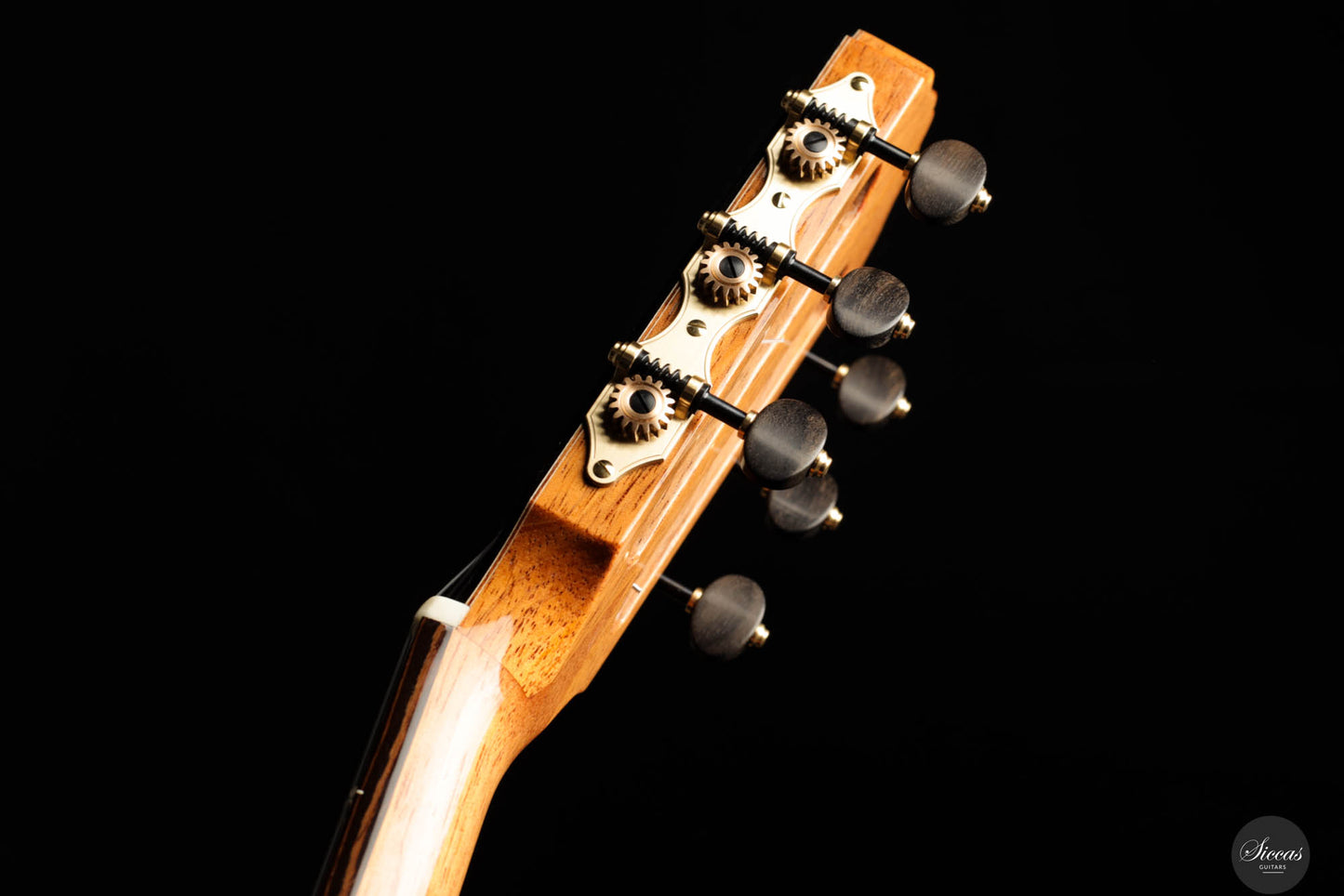Dieter Müller - 2025 Doubletop Cedar/Wenge