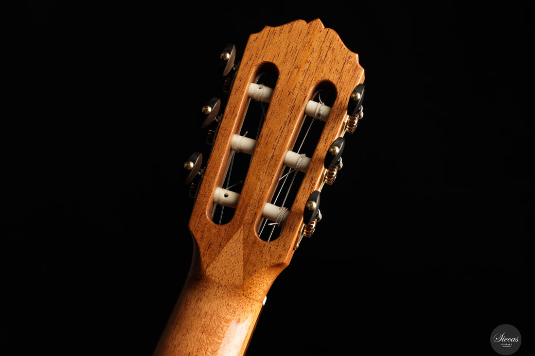Dieter Müller - 2025 Doubletop Cedar/Wenge