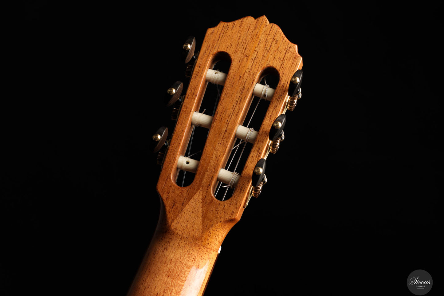 Dieter Müller - 2025 Doubletop Cedar/Wenge