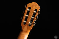 Dieter Müller - 2025 Doubletop Cedar/Wenge