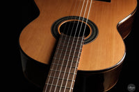 Dieter Müller - 2025 Doubletop Cedar/Wenge