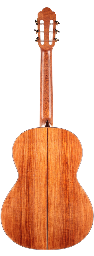 Dieter Müller - Doubletop 2011 63 cm