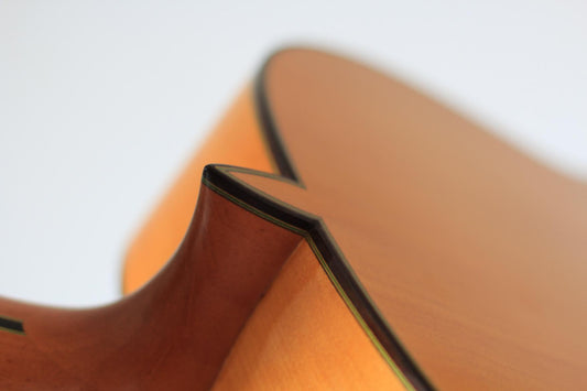 Paulino Bernabé – 2013 img-2