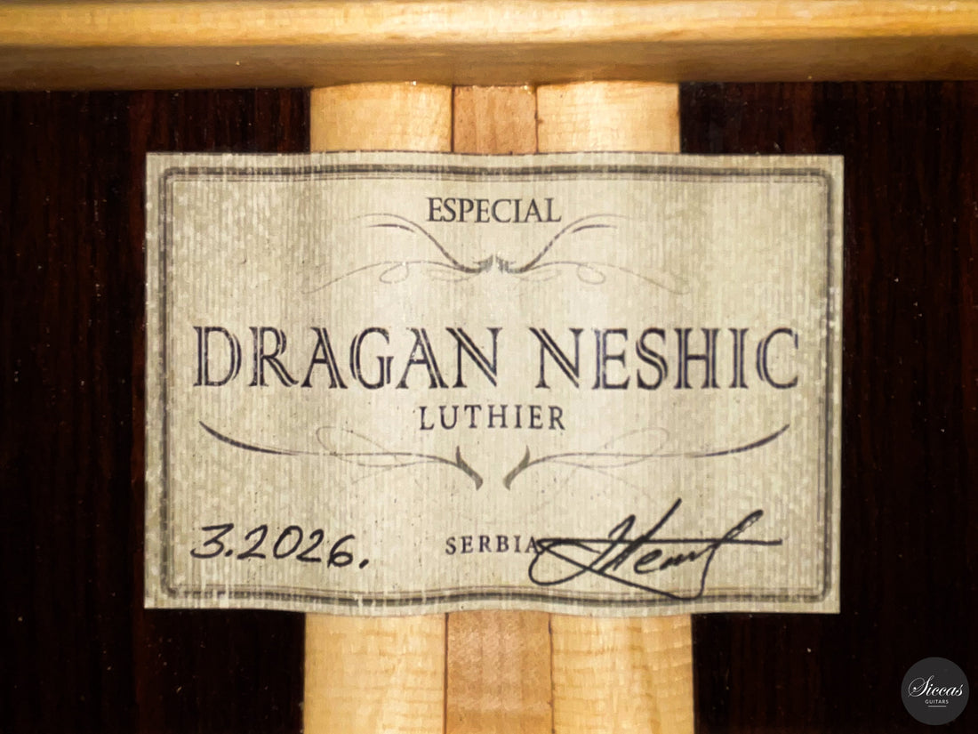 Dragan Neshic - 2026 Especial No. 3