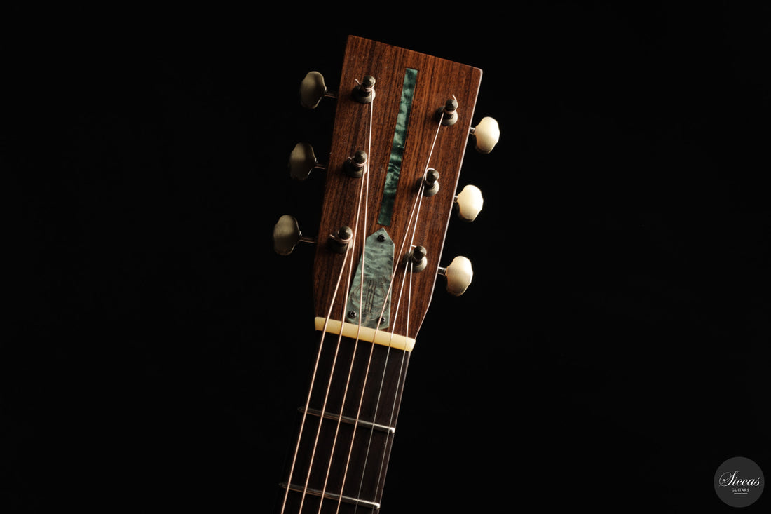 Emanuele Faggion - 2026 Dreadnought Model