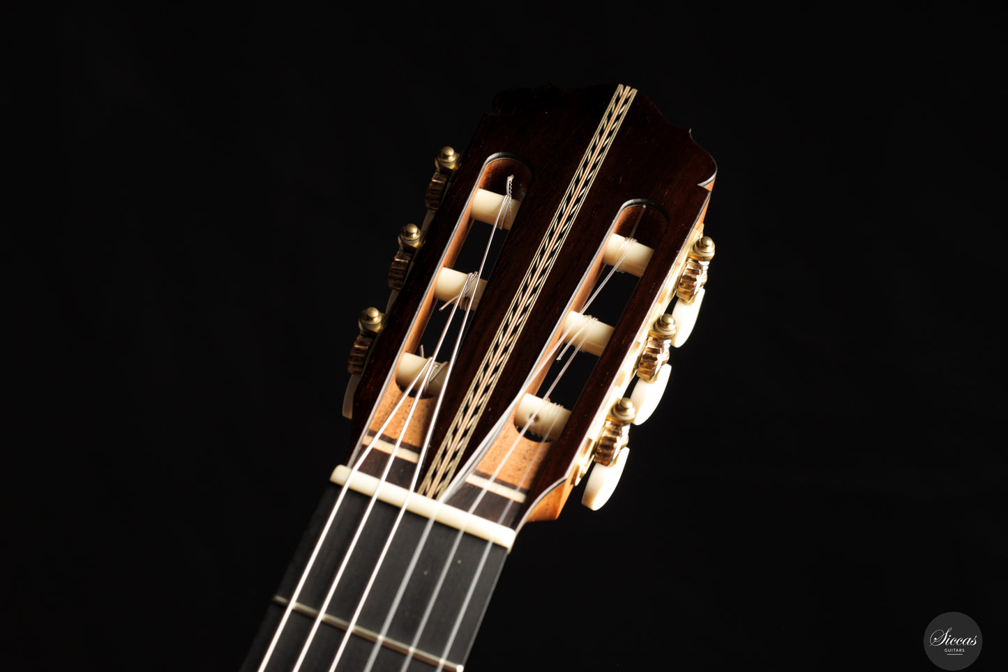 Ennio Giovanetti - 2026 Tonino REG Limited Edition