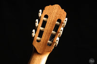 Ennio Giovanetti - 2026 Tonino REG Limited Edition