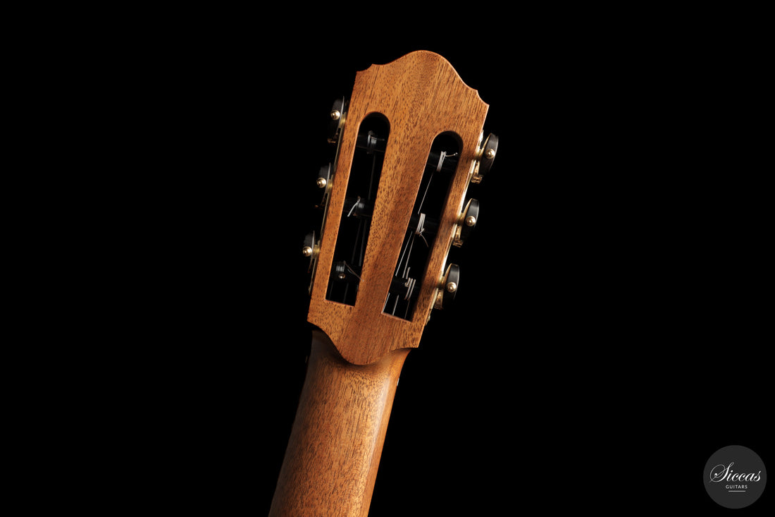 Enrico Bottelli - 2026 No. 321