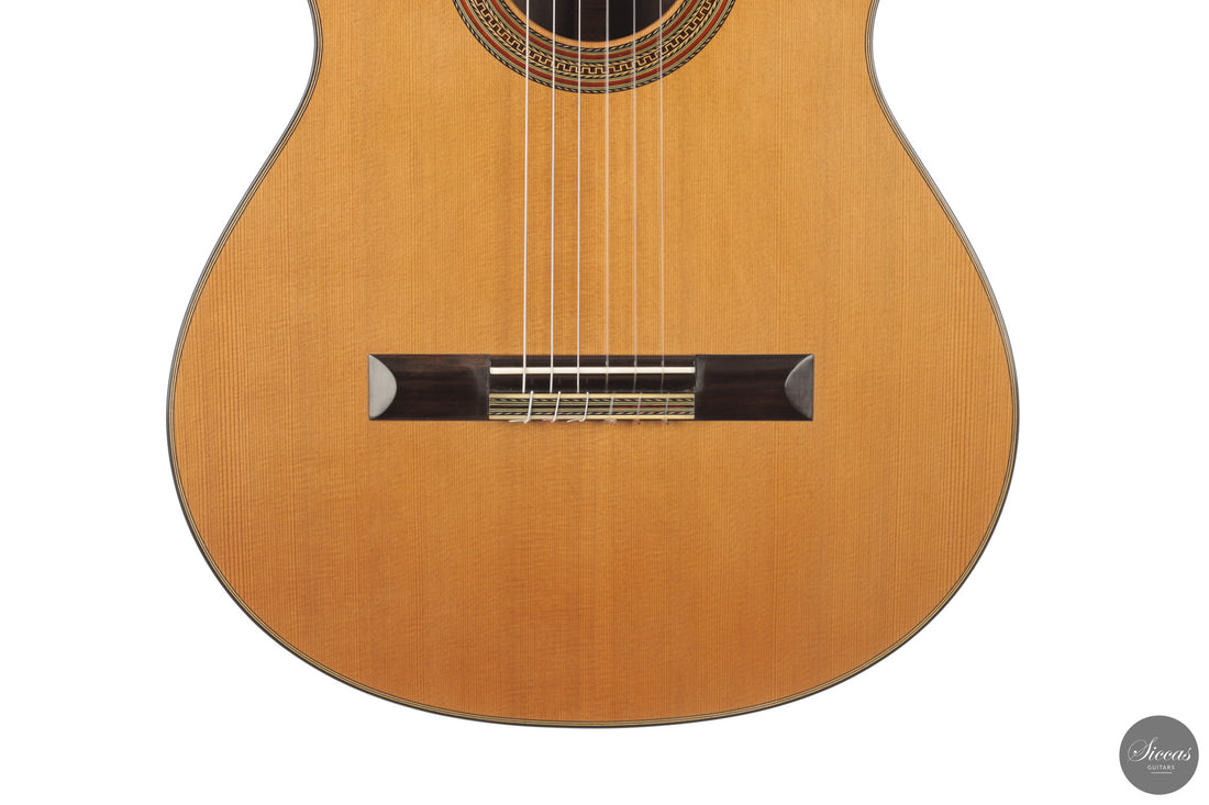 Erez Perelman - 2026 64 cm