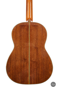 Fabio Zontini - 2023 REG Limited Edition