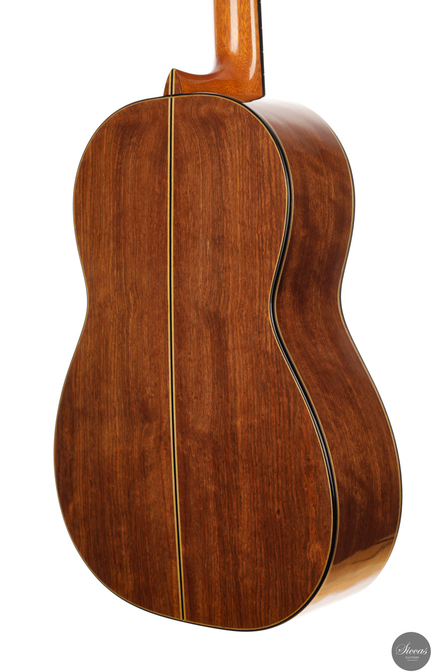 Fabio Zontini - 2023 REG Limited Edition