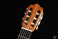 Fabio Zontini - 2023 REG Limited Edition