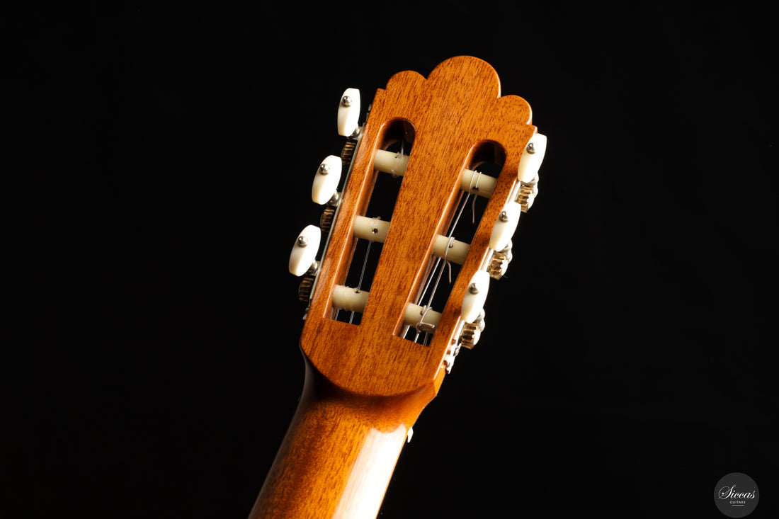 Fabio Zontini - 2023 REG Limited Edition