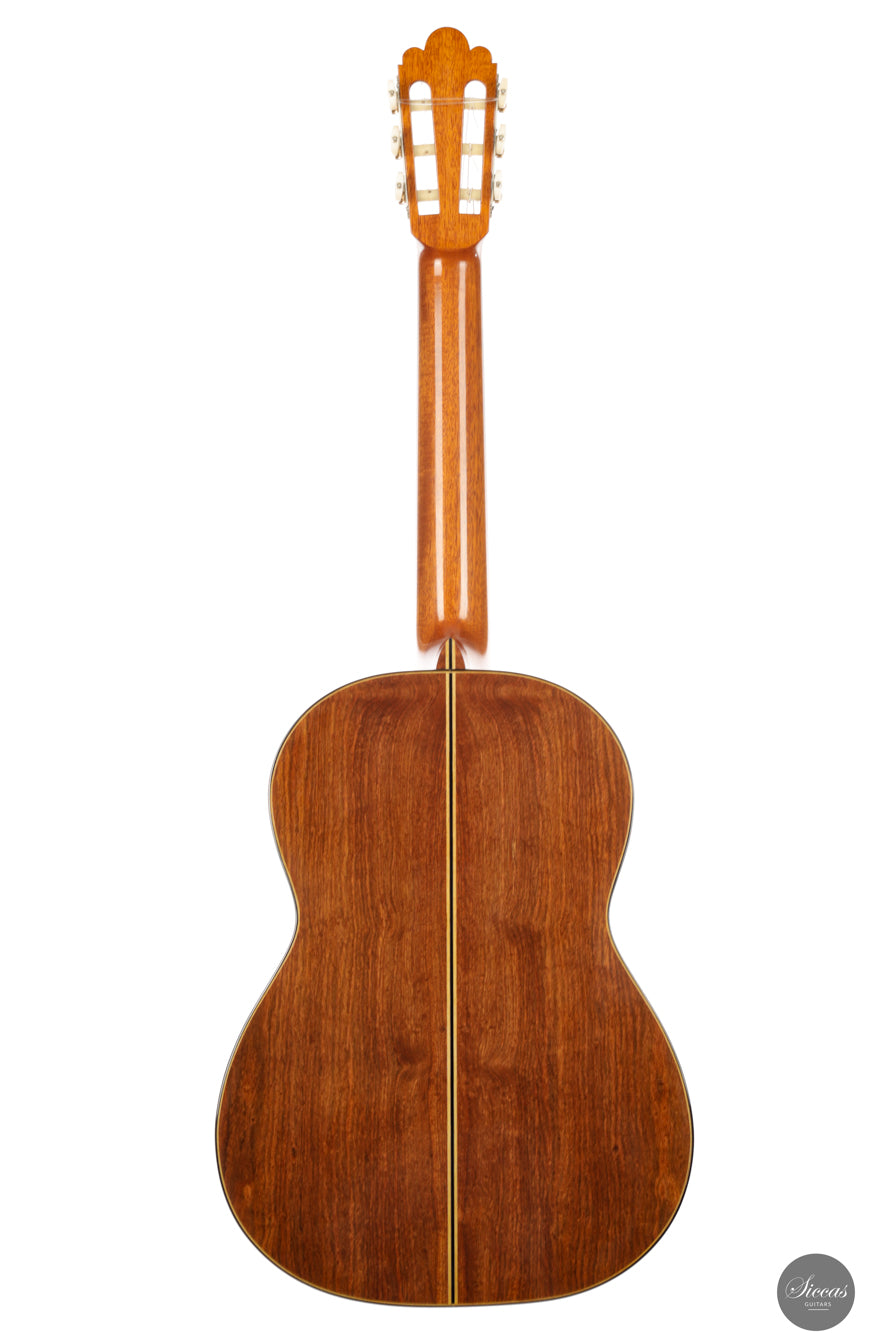 Fabio Zontini - 2023 REG Limited Edition