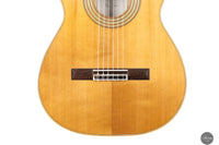 Fabio Zontini - 2025 Torres - 2025 REG Special Edition 63 cm