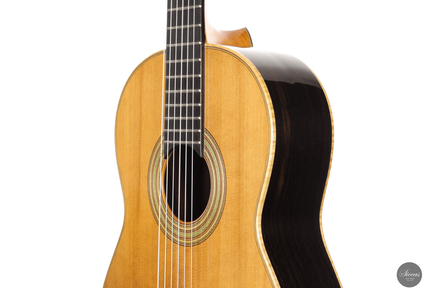 Fabio Zontini - 2025 Torres - 2025 REG Special Edition 63 cm