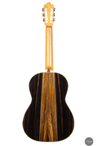 Fabio Zontini - 2025 Torres - 2025 REG Special Edition 63 cm