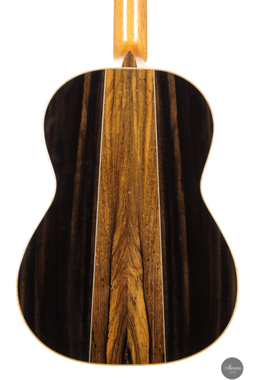 Fabio Zontini - 2025 Torres - 2025 REG Special Edition 63 cm
