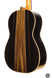 Fabio Zontini - 2025 Torres - 2025 REG Special Edition 63 cm
