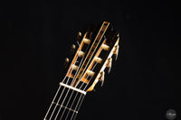 Fabio Zontini - 2025 Torres - 2025 REG Special Edition 63 cm