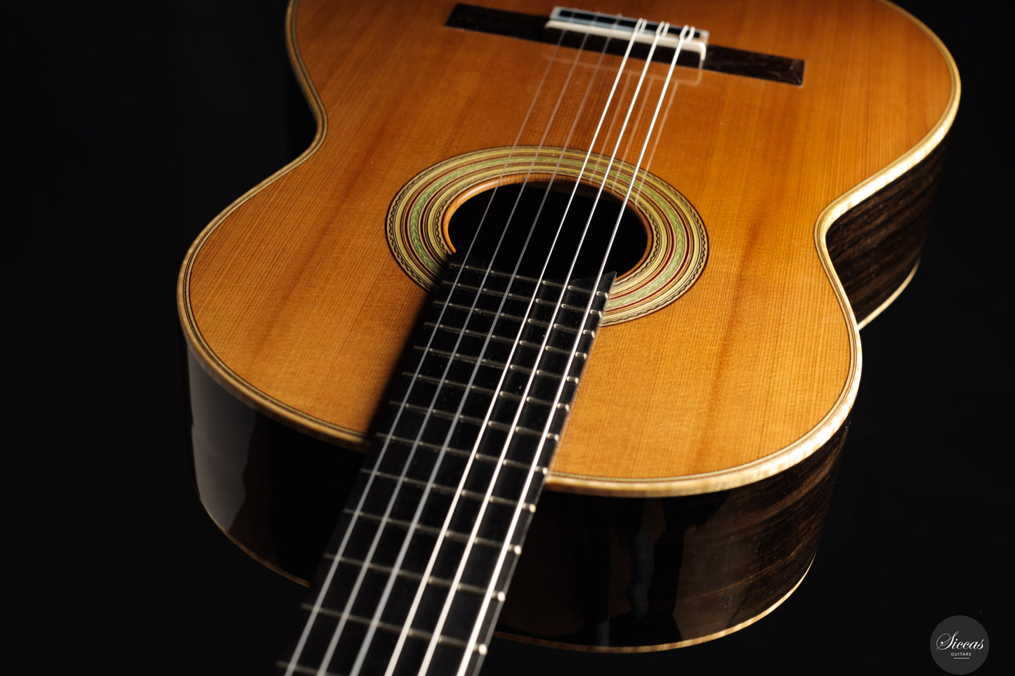 Fabio Zontini - 2025 Torres - 2025 REG Special Edition 63 cm