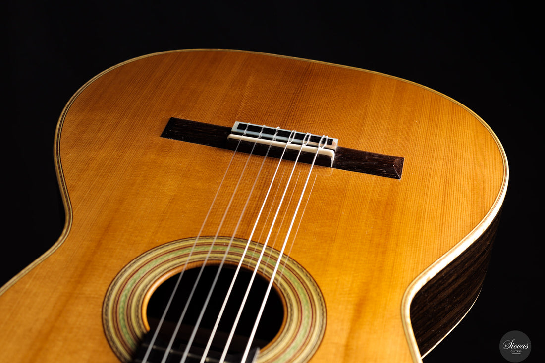 Fabio Zontini - 2025 Torres - 2025 REG Special Edition 63 cm