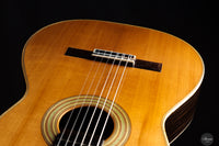 Fabio Zontini - 2025 Torres - 2025 REG Special Edition 63 cm