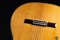 Fabio Zontini - 2025 Torres - 2025 REG Special Edition 63 cm