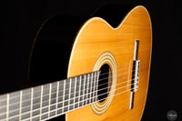 Fabio Zontini - 2025 Torres - 2025 REG Special Edition 63 cm