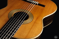 Fabio Zontini - 2025 Torres - 2025 REG Special Edition 63 cm