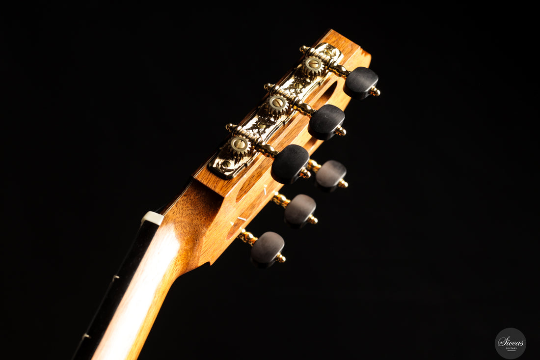 Felix Müller - 2025 Doubletop